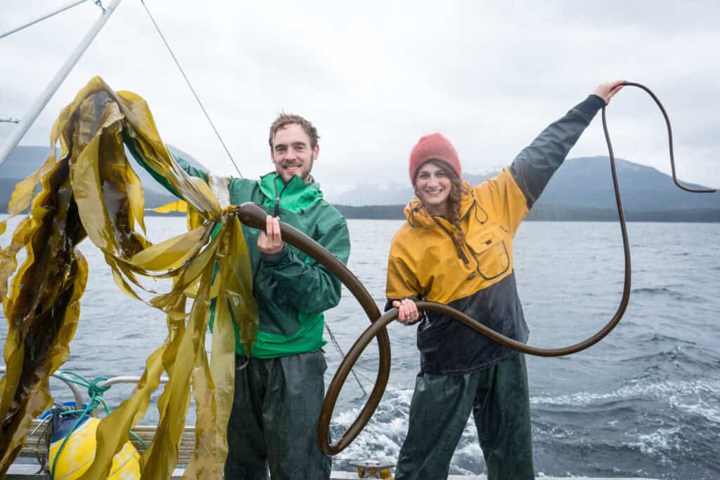 From the capital city of Juneau, Matt and Lia are serving up delicious food flavored from the sea. They are shown here holding up kelp with a backdrop of oceans and mountains.