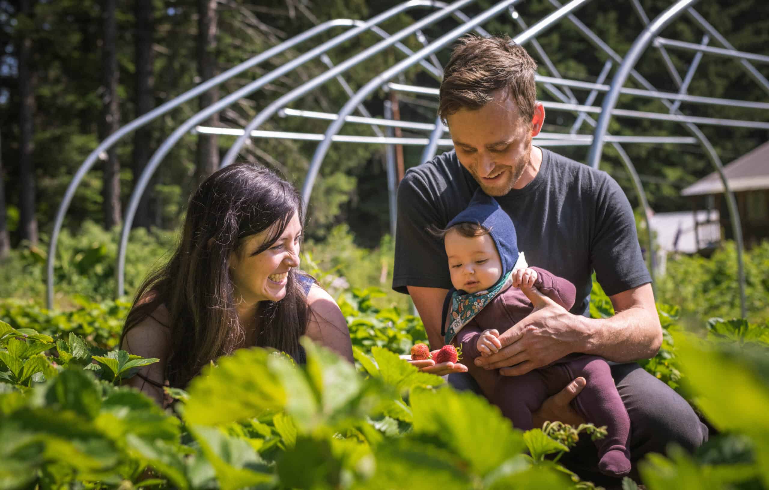 A man and woman are holding a baby in a strawberry field.