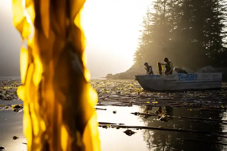 A group of people standing around a log.