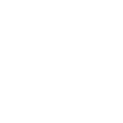 Spruce Root