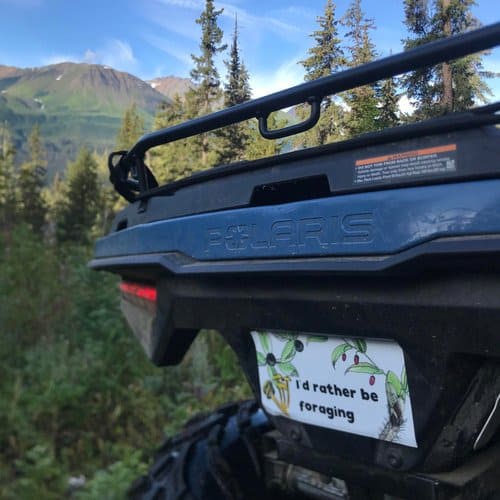 A sticker on the back of a blue atv.