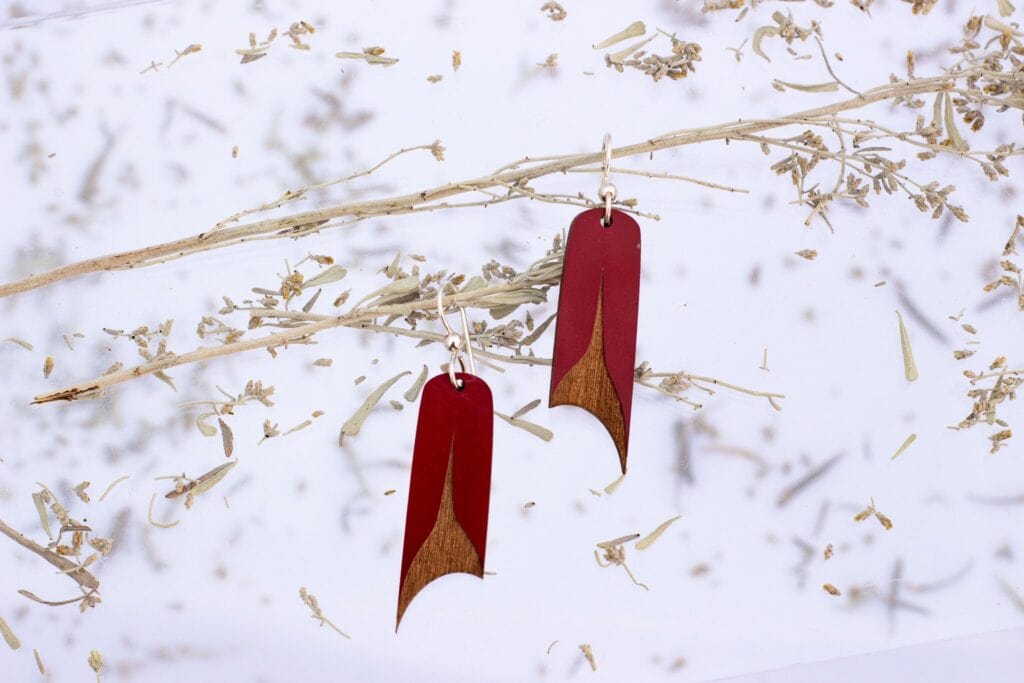 Red and brown earrings hanging from a branch.